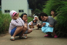 미지의 섬 여행 웰컴 투 볼음도