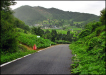 저 어린 것이 그 추운 날 얼마나 힘들었을까?