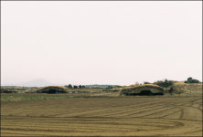그들이 일본 교과서 왜곡 비판자격 있나?