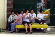 해발 400m 산골마을의 77밴드 아시나요?