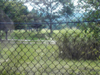 사천시장 국장일 골프 파문 그 뒷얘기