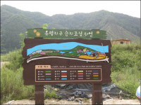 물도 없는 곳에 갈대를? 어이없는 습지 조성