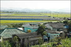 낙동강 주변 옥토, 진흙으로 덮는다?