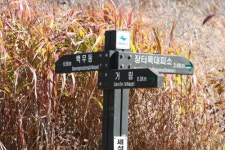 그대 가슴이 떨릴 땐 여행을 떠나라!