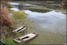 색다른 경험, 늪 주변을 걷는 것 어때요?