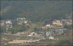온 동네가 약초로 뒤덮인 들국화 마을