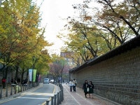 덕수궁 돌담길은 이별 길? 안심하고 걸어요