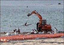 생명 흐르던 강이 11일 만에 공사판으로