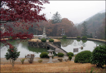 만추의 서정, 태안사에 머물고 있네