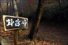 바람은커녕 소리도 들을 수 없는 산사