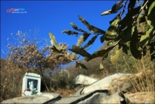 붉은 망토 걸치고 수행하는 500명의 제자들