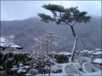 이까짓 거, 일이만원이면 살 수 있는데...