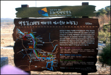 여강 길 60리를 걷고 난 뒤, 눈물을 흘리다