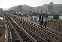 세계에서 가장 큰 트리, 한국에 있다