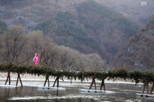그리움이 강을 넘는 곳, 판운 섶다리