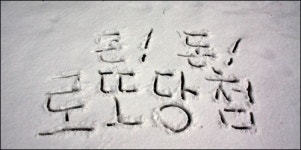 돈! 돈!  MB 잘해라 잉 소리 없는 함성