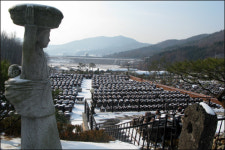 연기군 전동면, 경사 났네∼