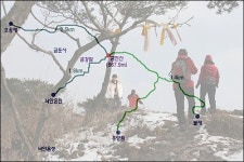 순천 낙안에 가면 金金金이 보인다