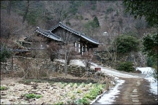 순천 낙안에 가면 金金金이 보인다