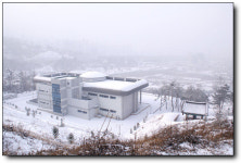 엄마야! 이게 다 눈이라는 게 믿기지 않아!