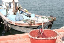 겨울 한파, 남쪽 섬 여행 어떨까