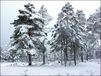 길 떠나는 노마드가 지녀야 할 첫 번째 덕목은?