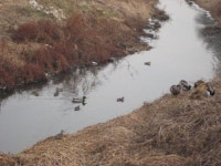 감이천과 성내천 사이에 무슨 짓을 해 놓은 건가?