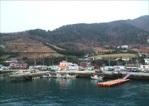 위암 말기 딸 치료했다는 기적의 섬