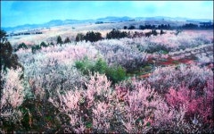 남도 비밀의 화원