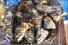 고등어대가리 구이, 그 맛이 기막히네!