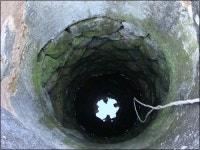 꽃구경 실컷 하고 차 한 잔 해볼까