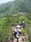 황매산에서 연홍빛 낭만 즐기세요