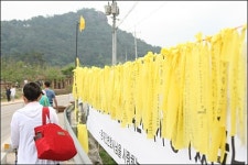 순례의 길이 되어버린 김해 가는 길