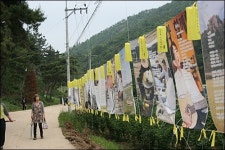 순례의 길이 되어버린 김해 가는 길