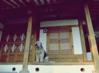 계동 중앙탕에 목간 한번 하러 가야겠어요