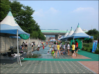 청계천 원조 성내천에서 본 4대강 막장드라마