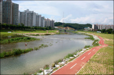 도심 천혜 피서지 유등천에 대체 뭔 짓을 한 거야