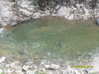 외부 오염원 없는 산기슭에서 동네민박 어때요?