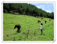 어푸어푸...살려주세요, 오지 마세요