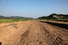 흰목물떼새야, 지켜주지 못해서 미안해