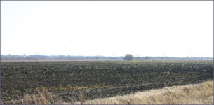 서태지가 세웠다는 기념비, 못 봐서 아쉽네