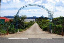 불혹도 한참 지났건만...유혹을 뿌리치지 못했다