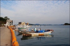 불혹도 한참 지났건만...유혹을 뿌리치지 못했다