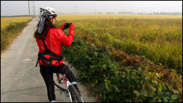 자전거 타고 낙단보 가지 마세요, 길 사라집니다