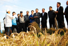 도의원 행차에 온동네가 떠들썩, 뒷말 무성