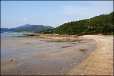 뽕할머니, 진도 바닷가에서 기적을 행하시다