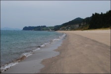 땅끝에서 한 생명의 처참한 죽음을 목격하다