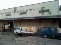 남는 거 없는 고구마 농사, 내년엔 안 할란다