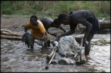 운전기사가 우리 여기다 두고, 가버렸어요!