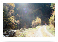 불바라기 보물 찾은 약수원정대